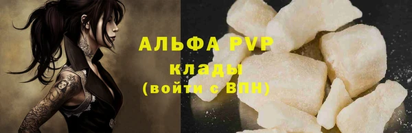 стафф Заводоуковск