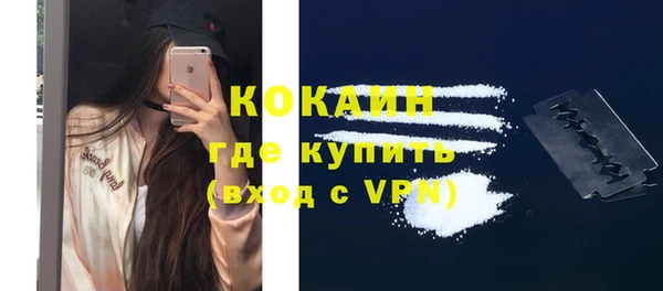 стафф Заводоуковск