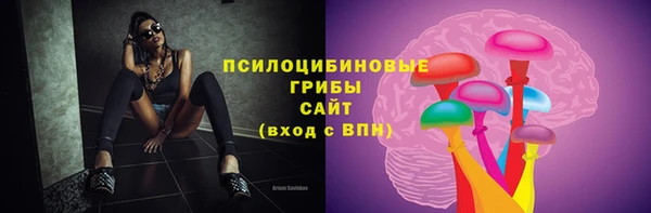 стафф Заводоуковск